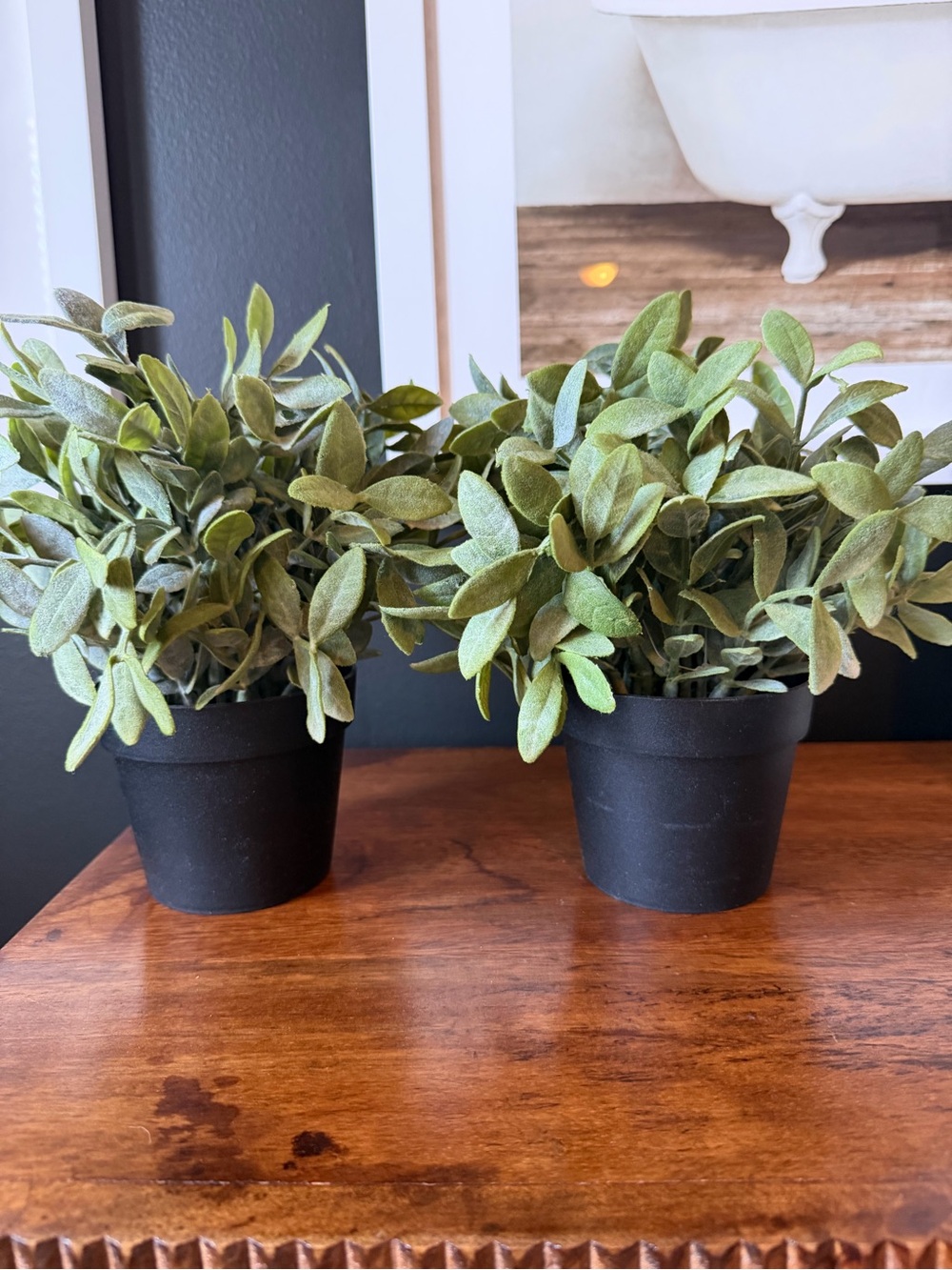 IKEA Faux Greenery Duo in Black Pots